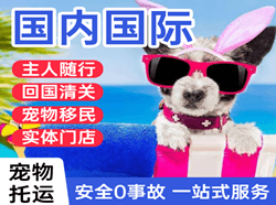 哈尔滨平房空运公司国际宠物托运 【国